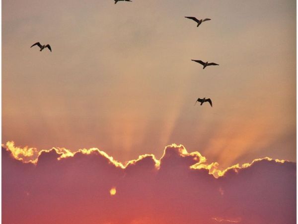 LOOKING AHEAD: THE LORD HAS DONE&nbsp;THIS